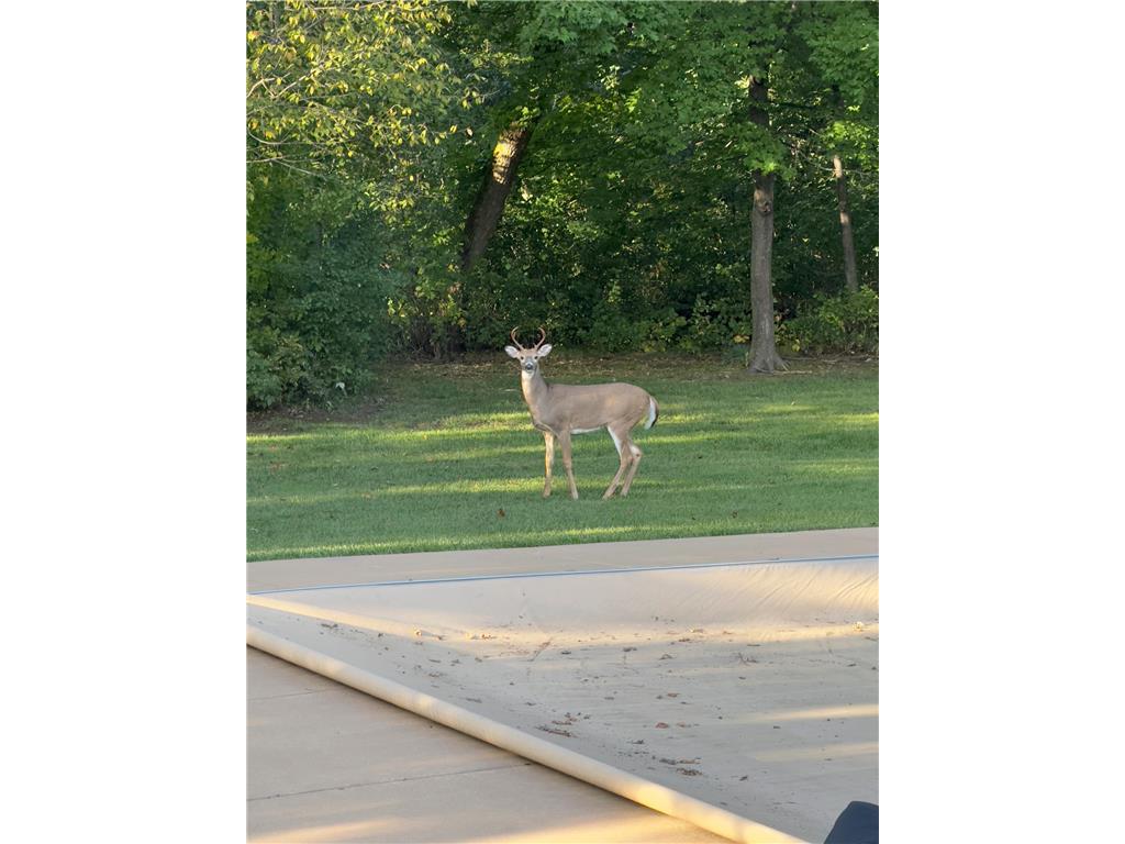 1224 US Highway 12 Warren Twp WI 54023 6794294 image59