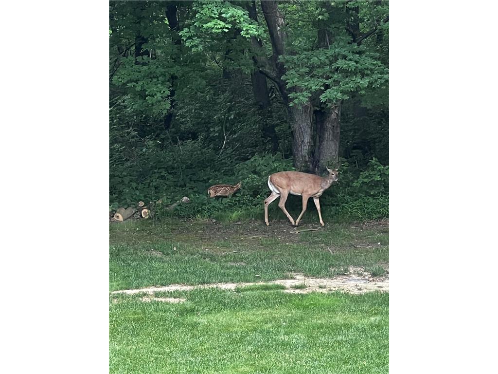 1224 US Highway 12 Warren Twp WI 54023 6794294 image60