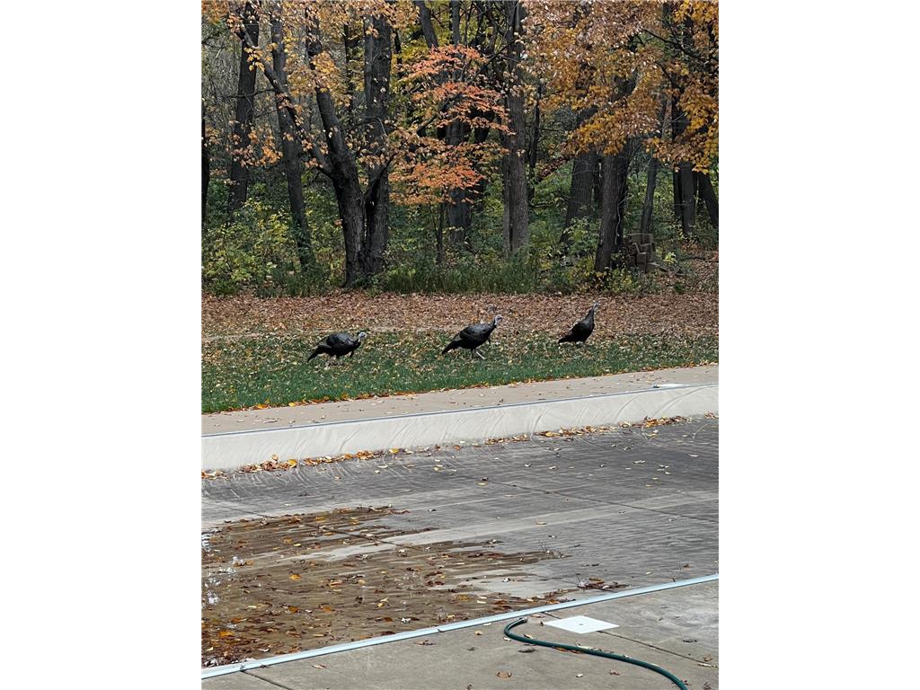 1224 US Highway 12 Warren Twp WI 54023 6794294 image62