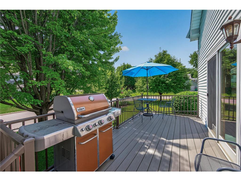 1225 EARLE Way Burnsville MN 55306 7087496 image16