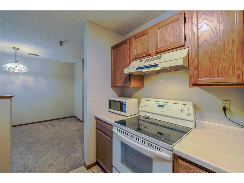 1225 Ferndale Street N #B1 Maplewood MN 55119 7080893 image12