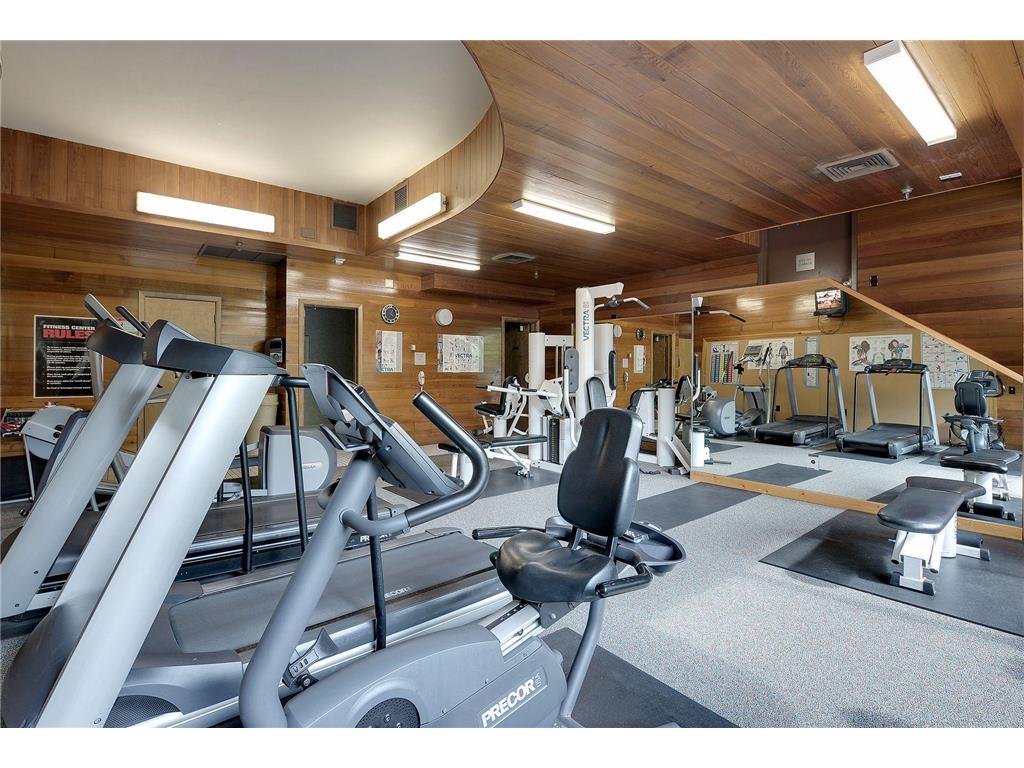 1225 Lasalle Ave #2301 Minneapolis MN 55403 6700397 image50