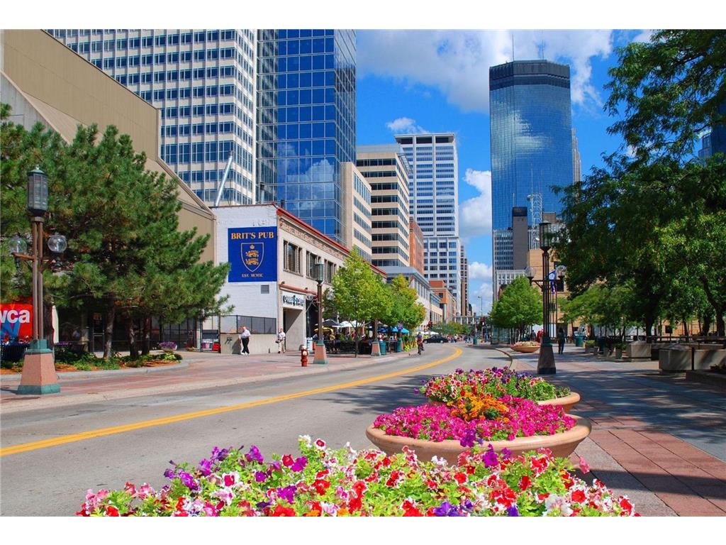 1225 Lasalle Ave #2301 Minneapolis MN 55403 6700397 image64