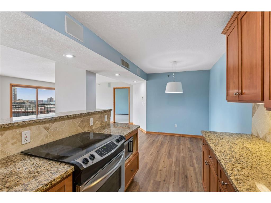 1225 Lasalle Avenue #1403 Minneapolis MN 55403 7043316 image14