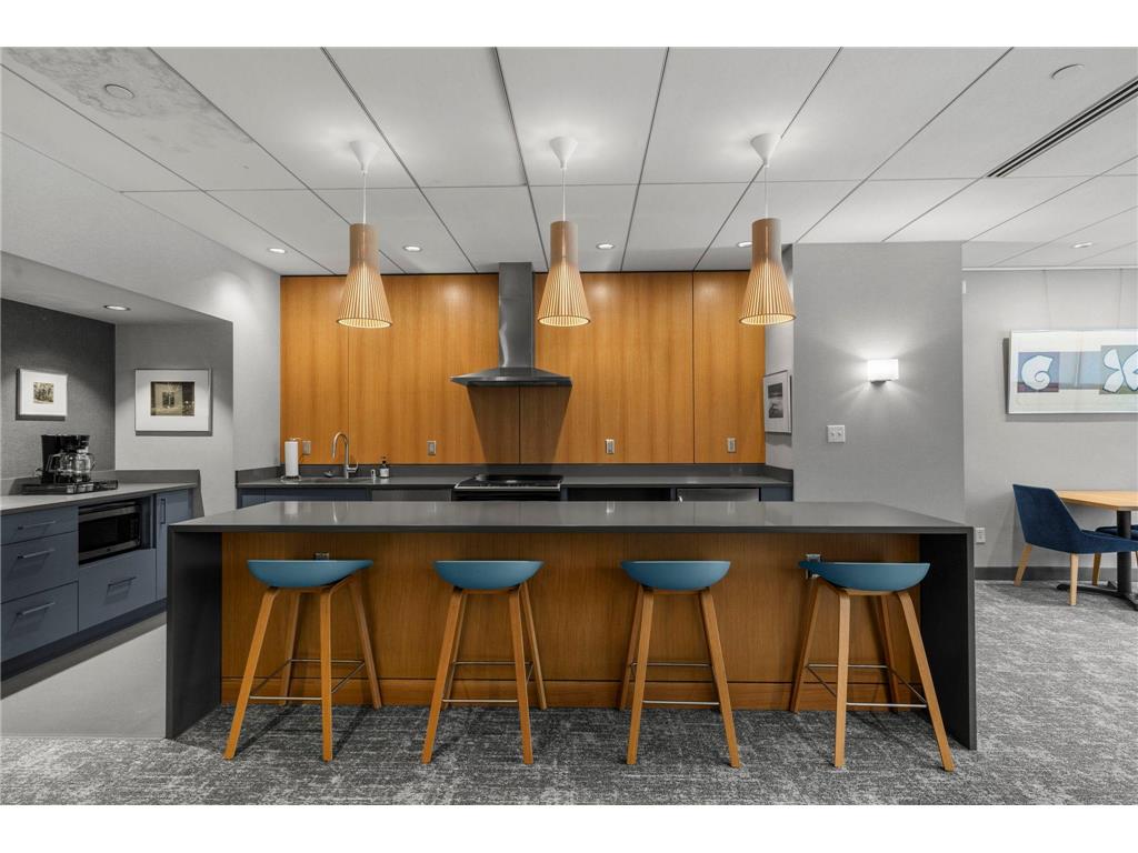 1225 Lasalle Avenue #1502 Minneapolis MN 55403 7100139 image48