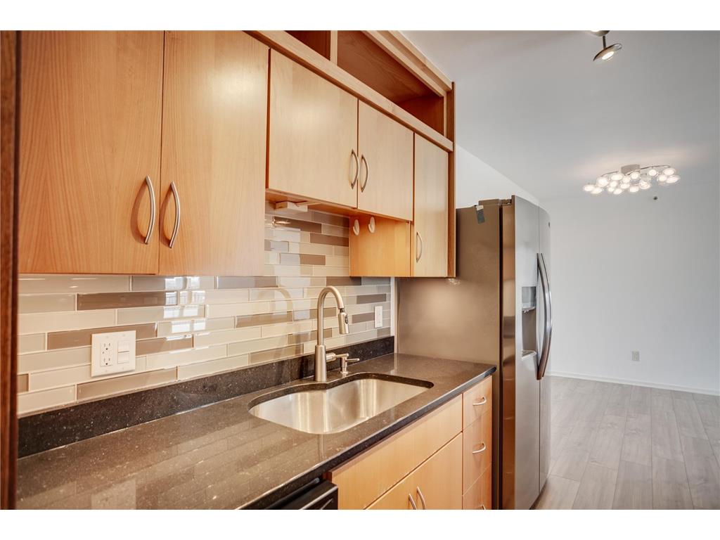 1225 Lasalle Avenue #1704 Minneapolis MN 55403 6789651 image12