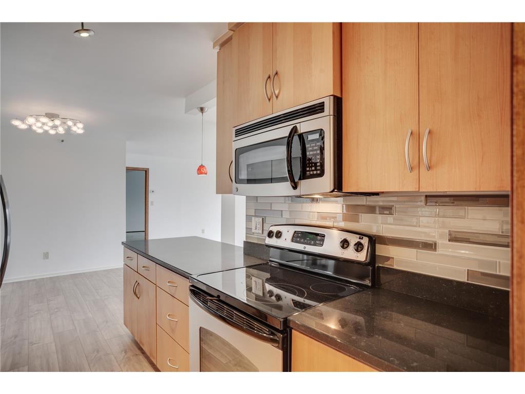 1225 Lasalle Avenue #1704 Minneapolis MN 55403 6789651 image13