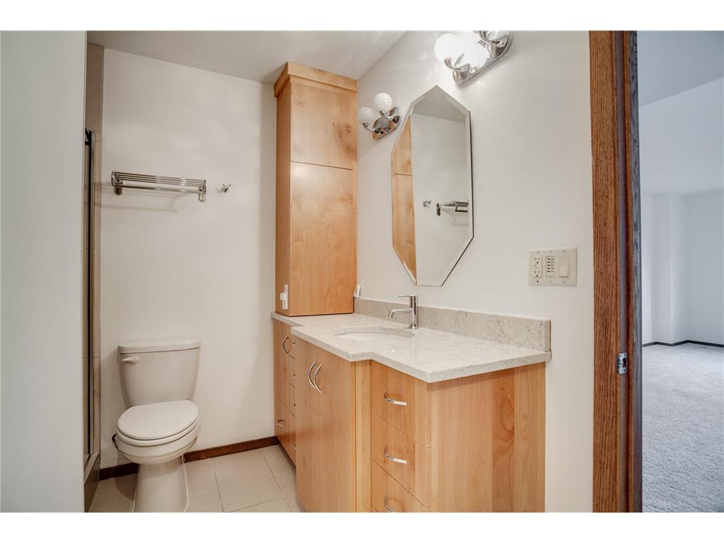 1225 Lasalle Avenue #1704 Minneapolis MN 55403 6789651 image21