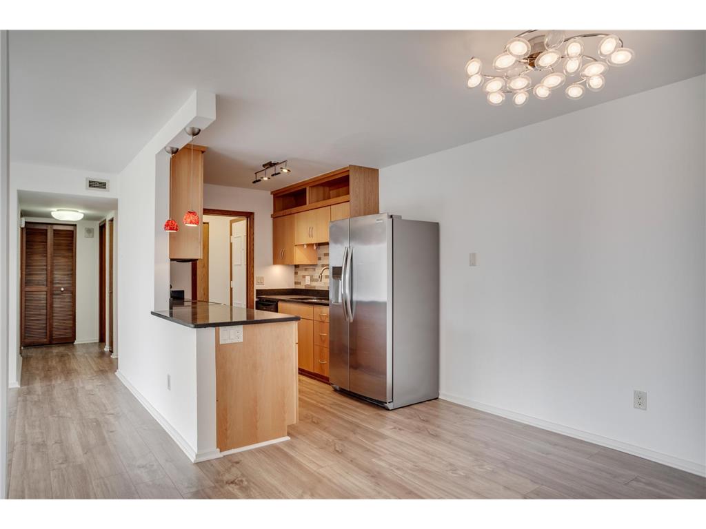 1225 Lasalle Avenue #1704 Minneapolis MN 55403 6789651 image9