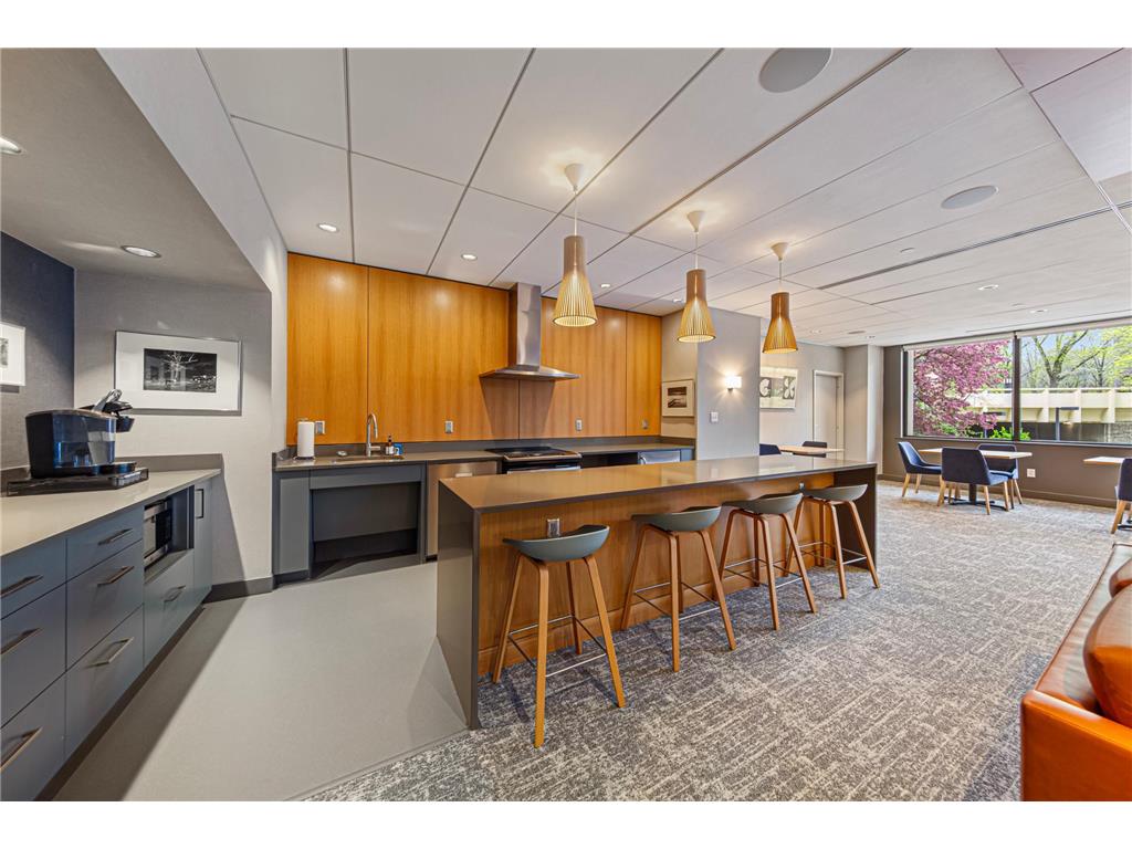 1225 Lasalle Avenue #2101 Minneapolis MN 55403 7064421 image49