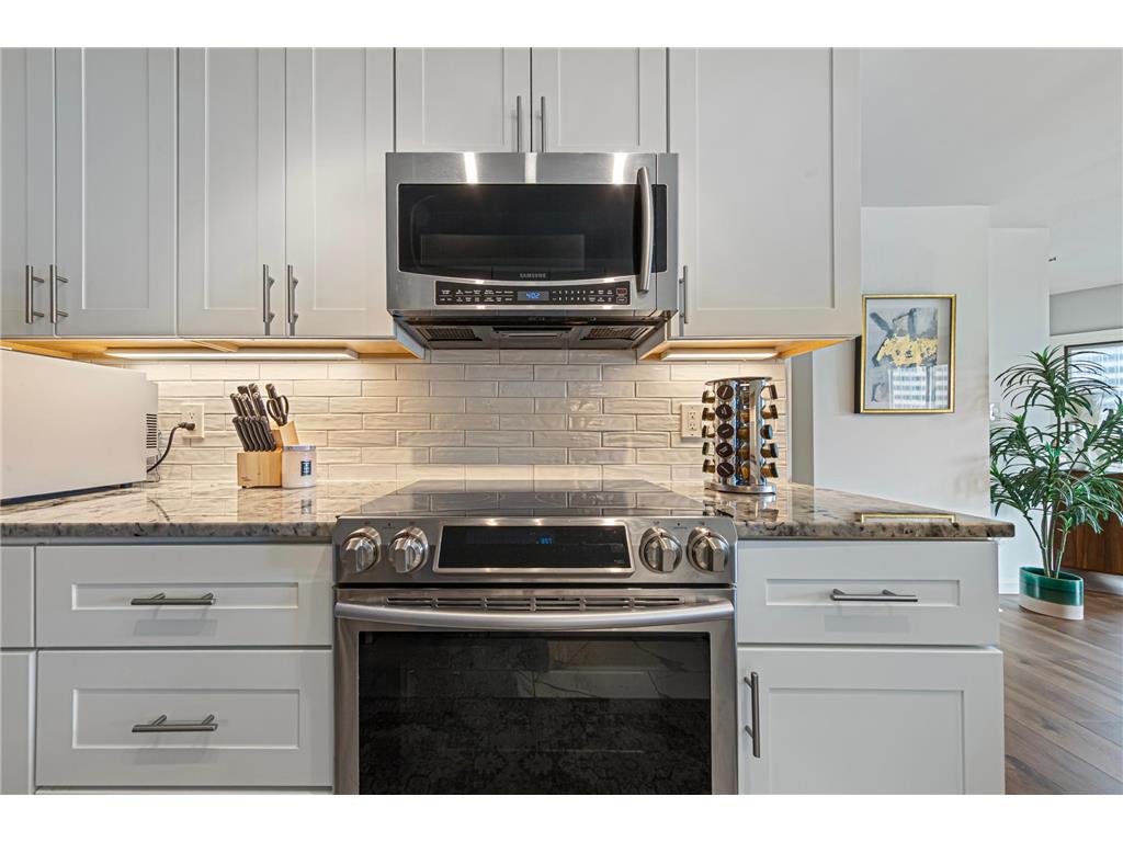 1225 Lasalle Avenue #2101 Minneapolis MN 55403 7064421 image9