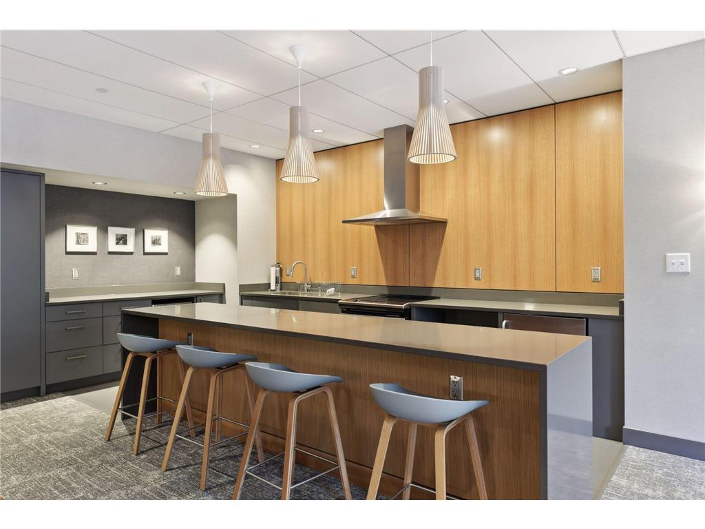 1225 Lasalle Avenue #301 Minneapolis MN 55403 7071961 image14