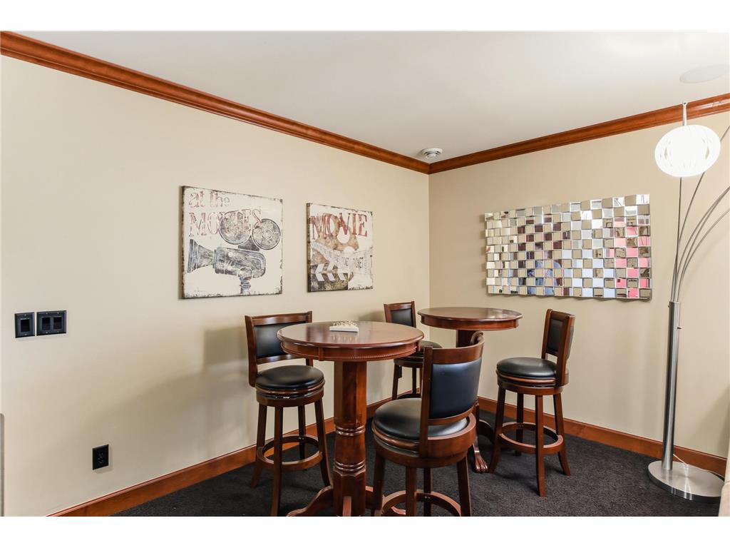 12250 Lakeview Drive N Maple Grove MN 55369 7075873 image39