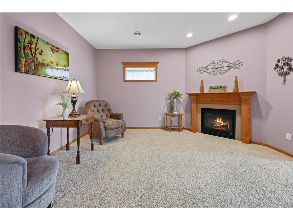 1227 Willow Pond Drive Waite Park MN 56387 7099129 image20