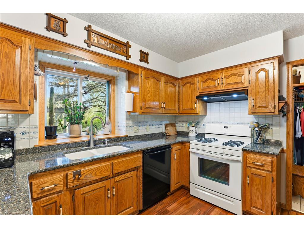 12270 Europa Avenue N Hugo MN 55110 7070510 image15