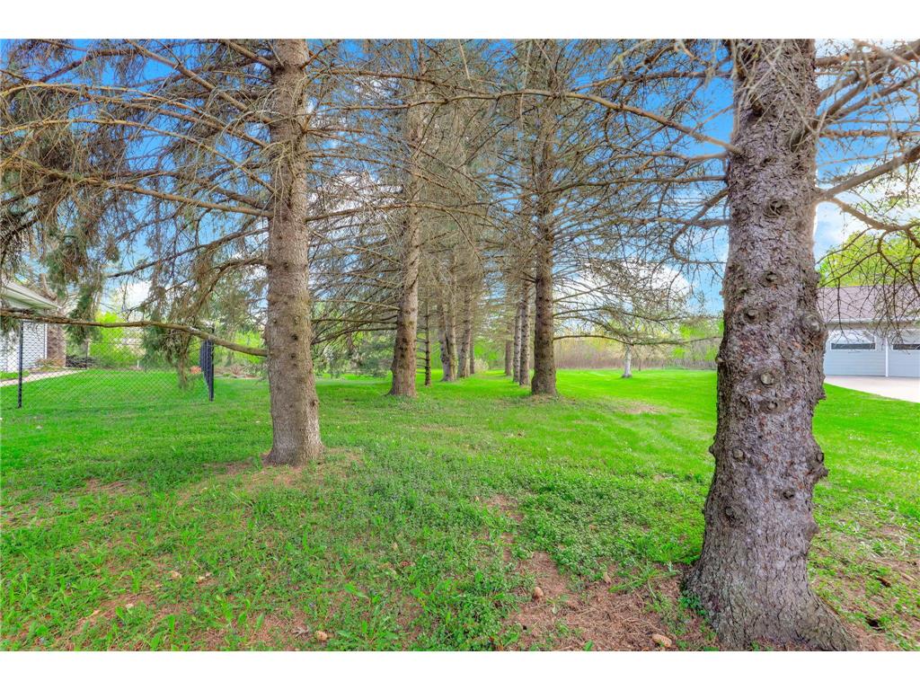12270 Europa Avenue N Hugo MN 55110 7070510 image33