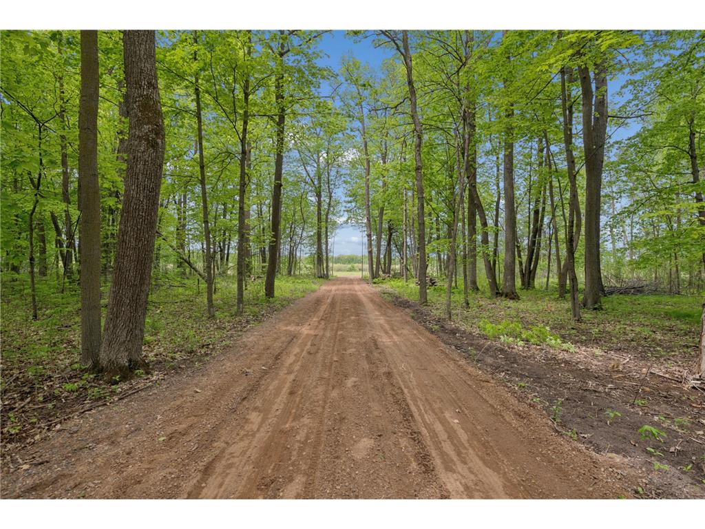 12271 Auburn Road Grasston MN 55030 7081755 image24