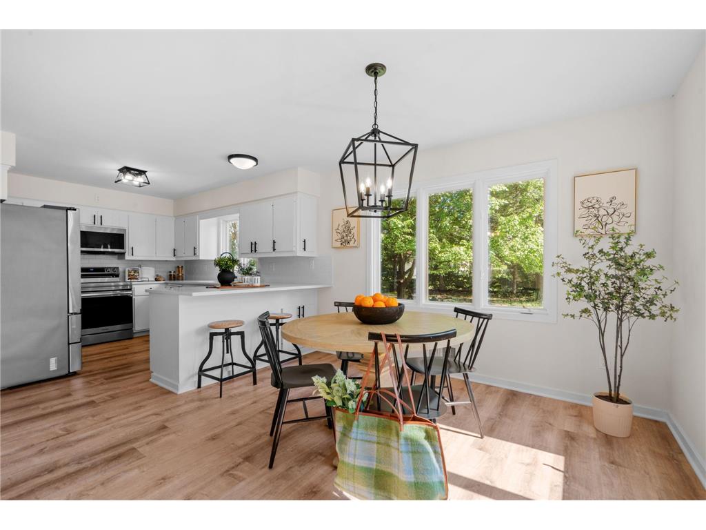 1228 4th Street Saint Paul Park MN 55071 6600627 image1