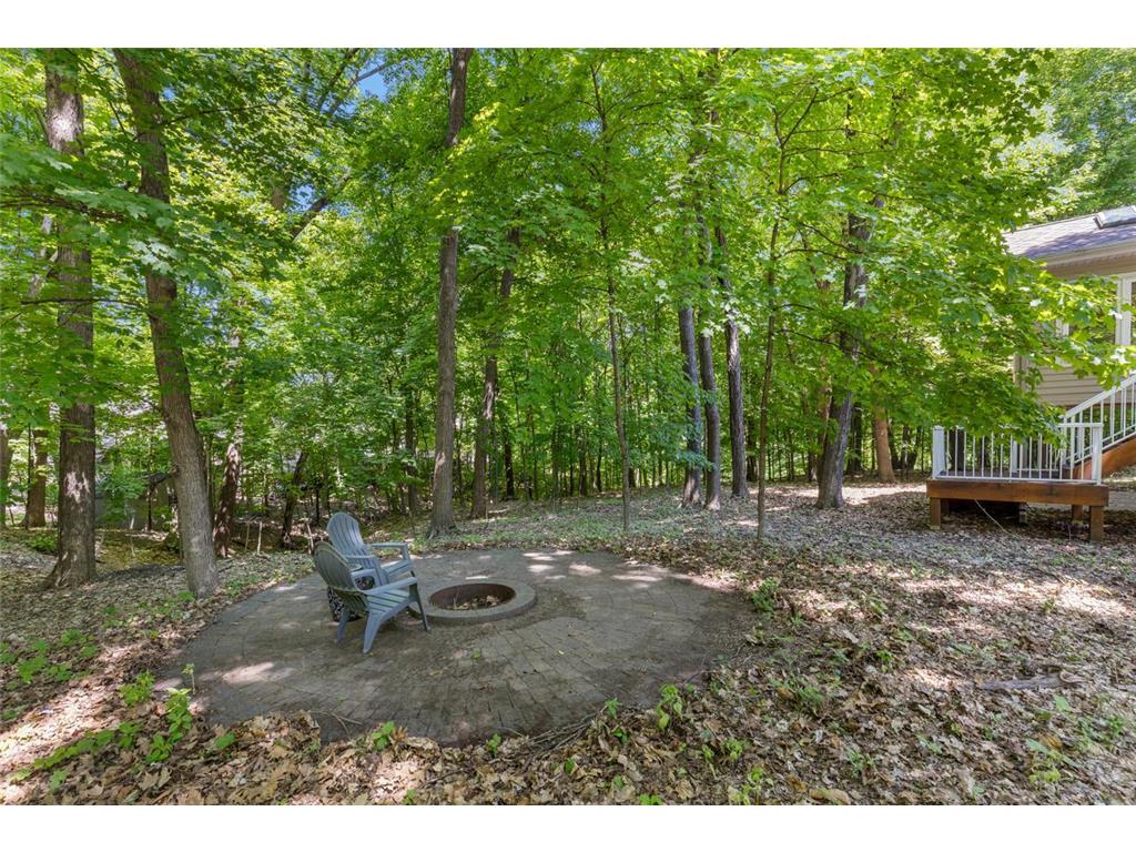 1228 Wildwood Way Chaska MN 55318 7082663 image60