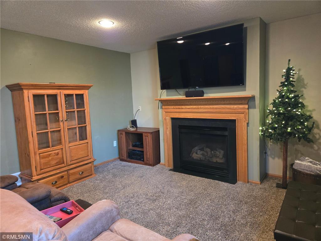1229 Choke Cherry Road Lino Lakes MN 55038 7036285 image25