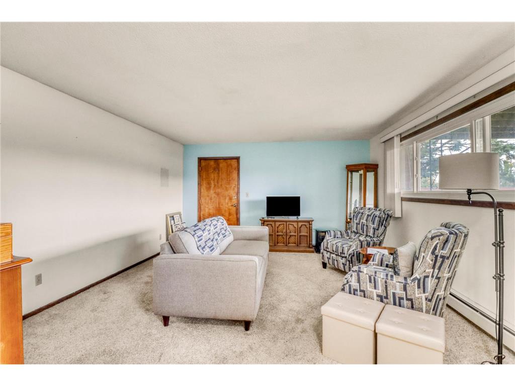 1229 Madison Avenue #293 Detroit Lakes MN 56501 6824407 image6