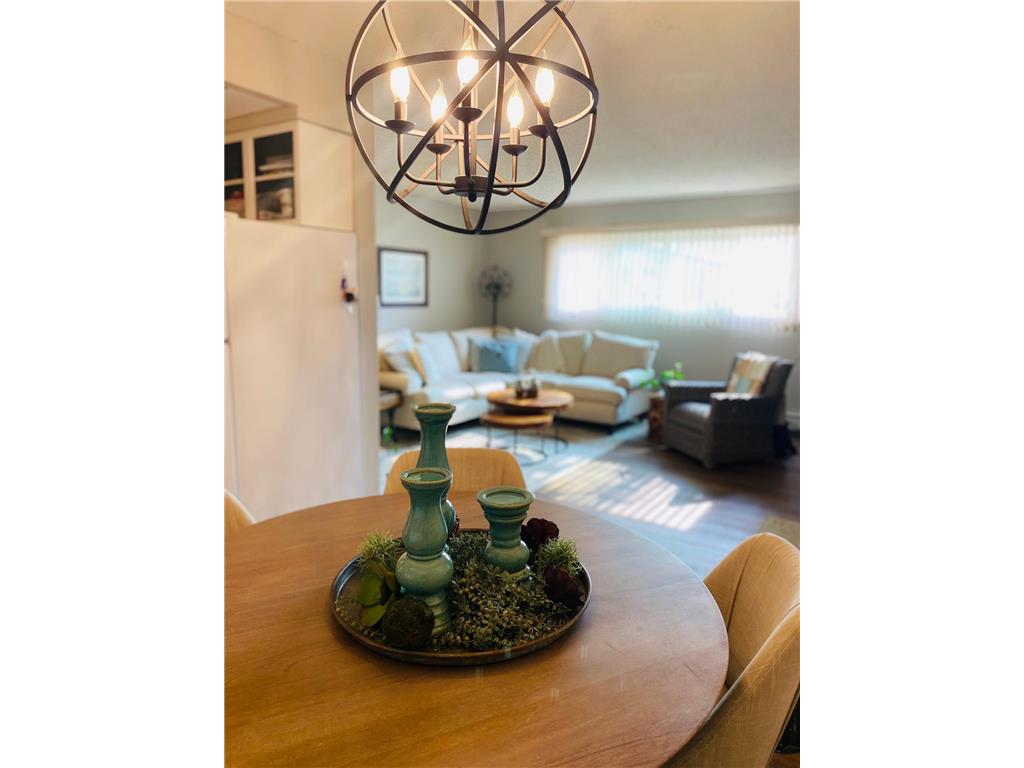 1229 Madison Avenue #294 Detroit Lakes MN 56501 6374870 image1