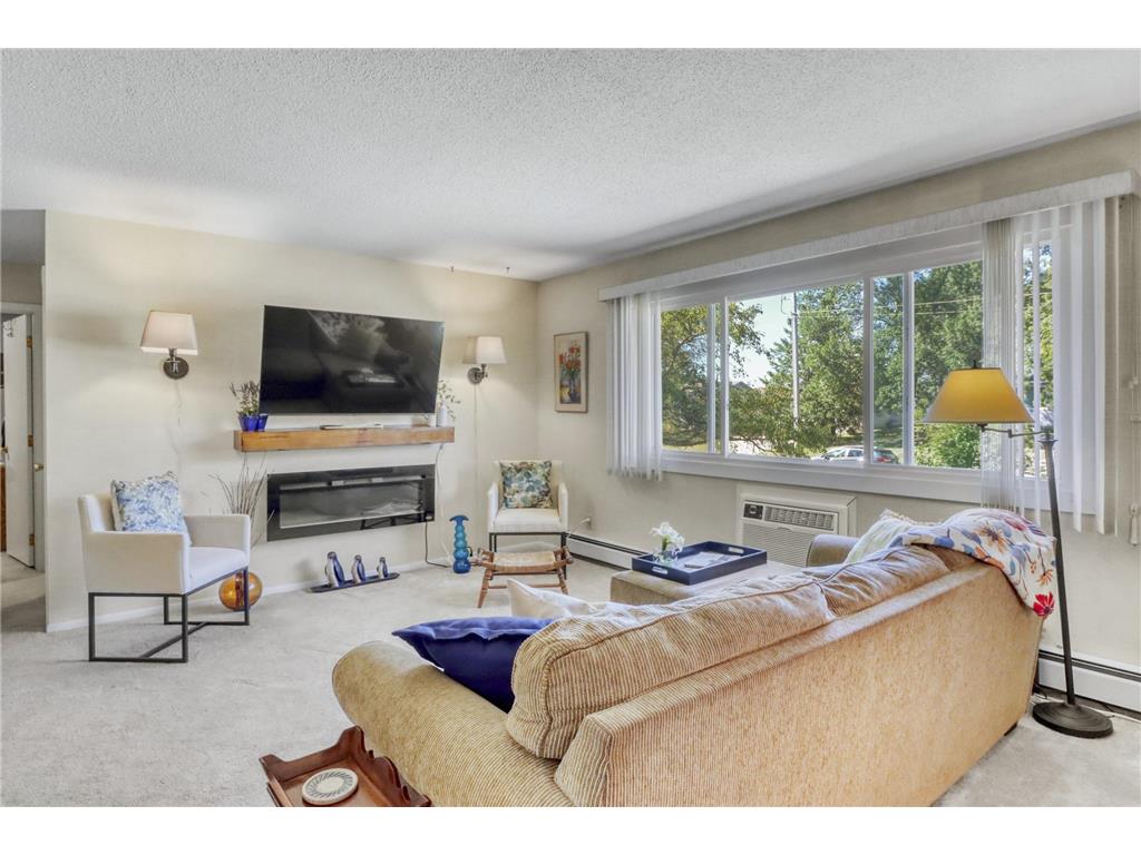 1229 Madison Avenue #295 Detroit Lakes MN 56501 6787319 image1