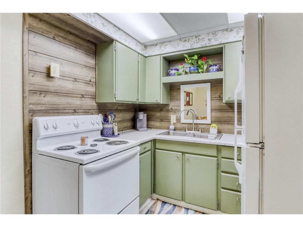 1229 Madison Avenue #295 Detroit Lakes MN 56501 6787319 image7