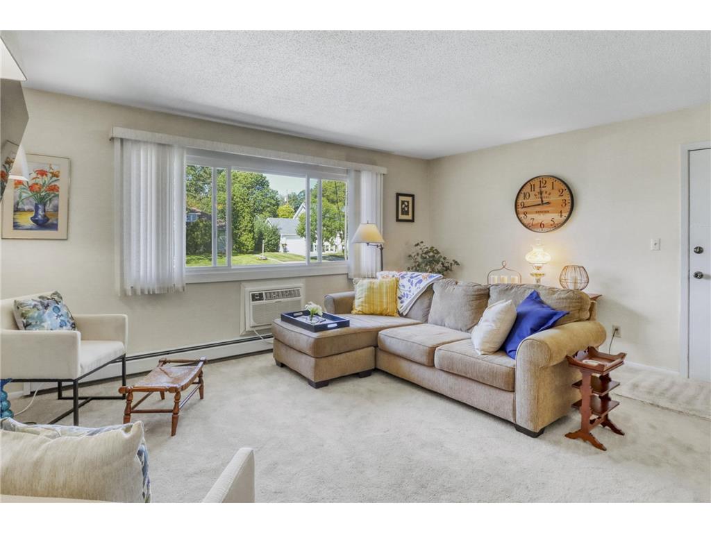 1229 Madison Avenue #295 Detroit Lakes MN 56501 6787319 image9