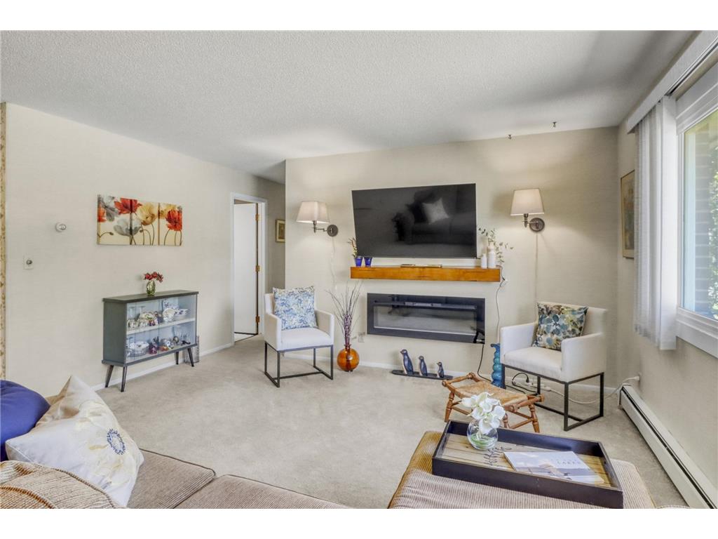 1229 Madison Avenue #295 Detroit Lakes MN 56501 7103973 image11