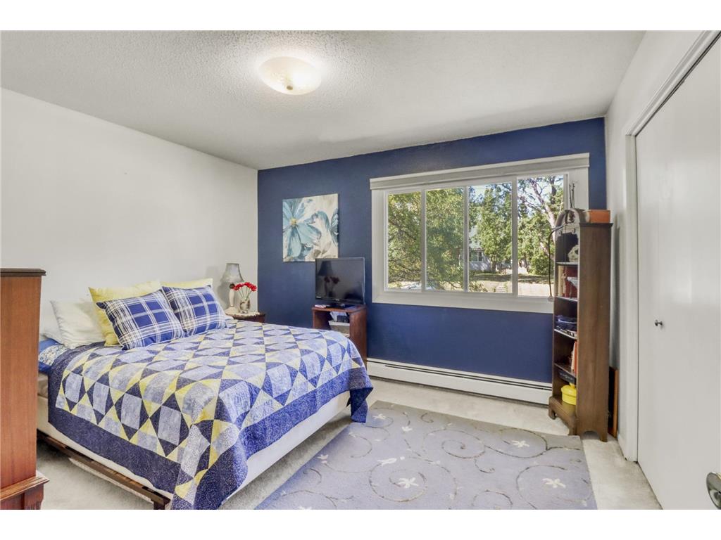 1229 Madison Avenue #295 Detroit Lakes MN 56501 7103973 image14