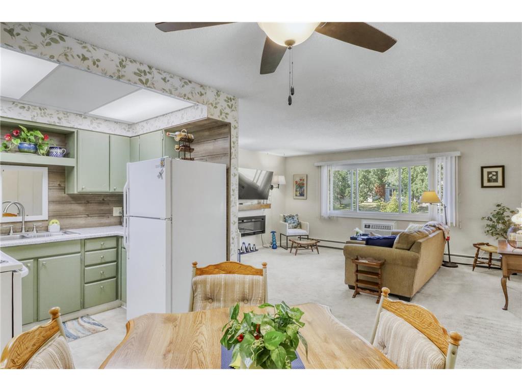 1229 Madison Avenue #295 Detroit Lakes MN 56501 7103973 image3