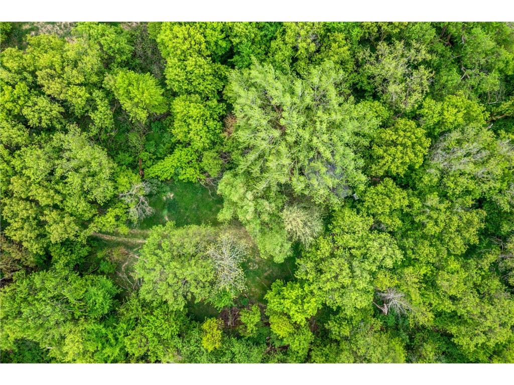 12290 62nd Street NW Annandale MN 55302 7075886 image12