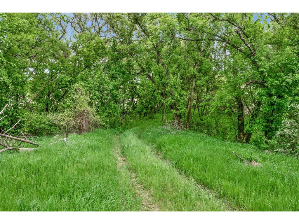 12290 62nd Street NW Annandale MN 55302 7075886 image14