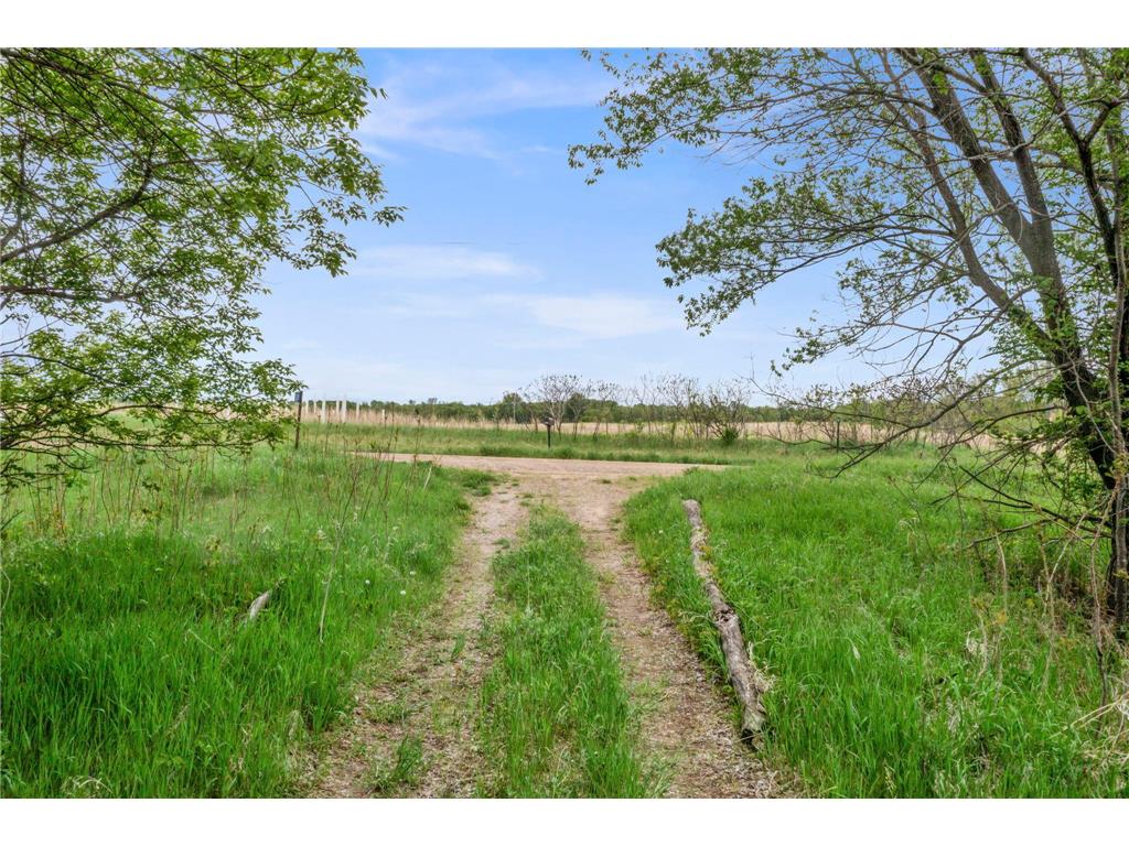 12290 62nd Street NW Annandale MN 55302 7075886 image2