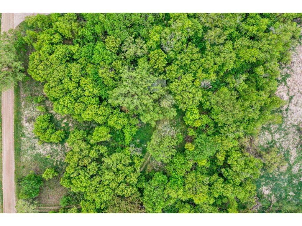 12290 62nd Street NW Annandale MN 55302 7075886 image24