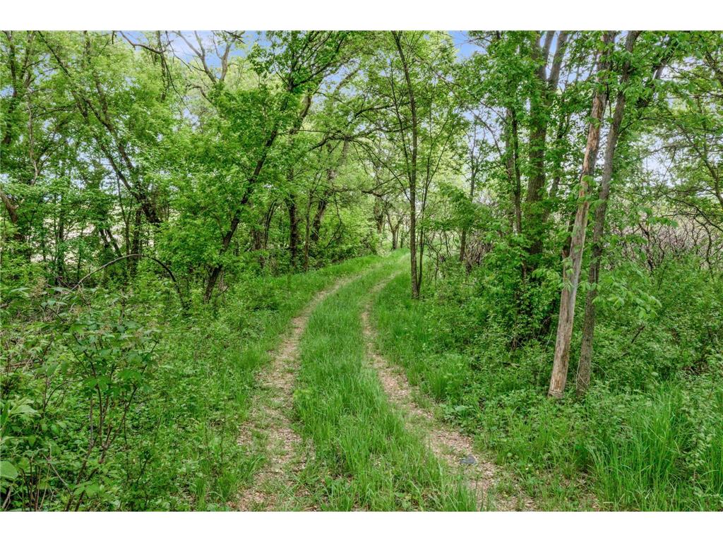 12290 62nd Street NW Annandale MN 55302 7075886 image3