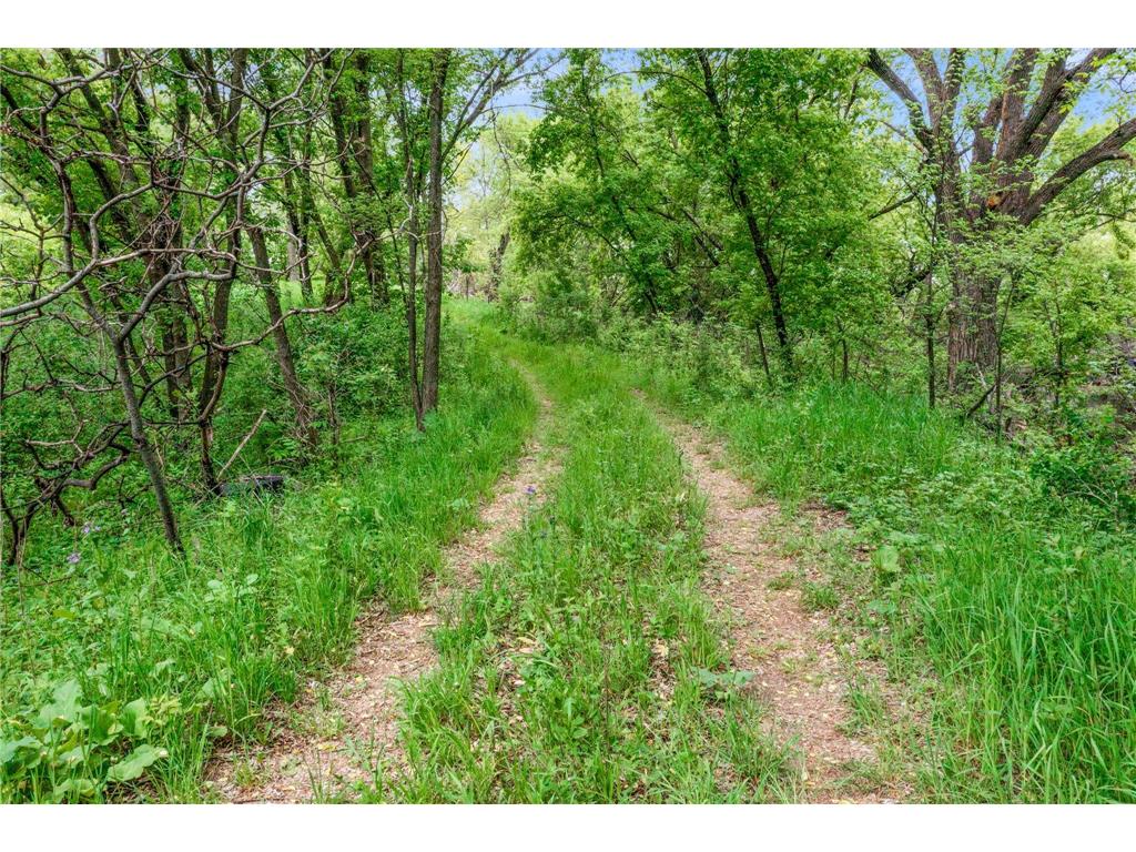 12290 62nd Street NW Annandale MN 55302 7075886 image5