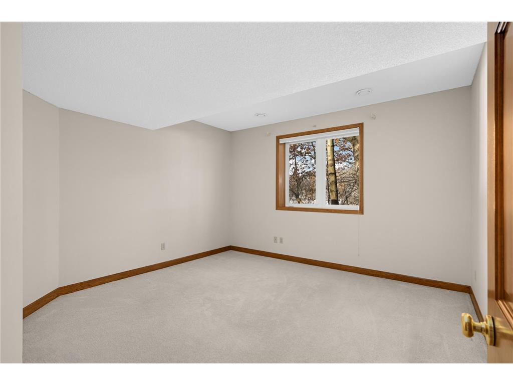 12297 Coffee Trail Rosemount MN 55068 7002445 image28