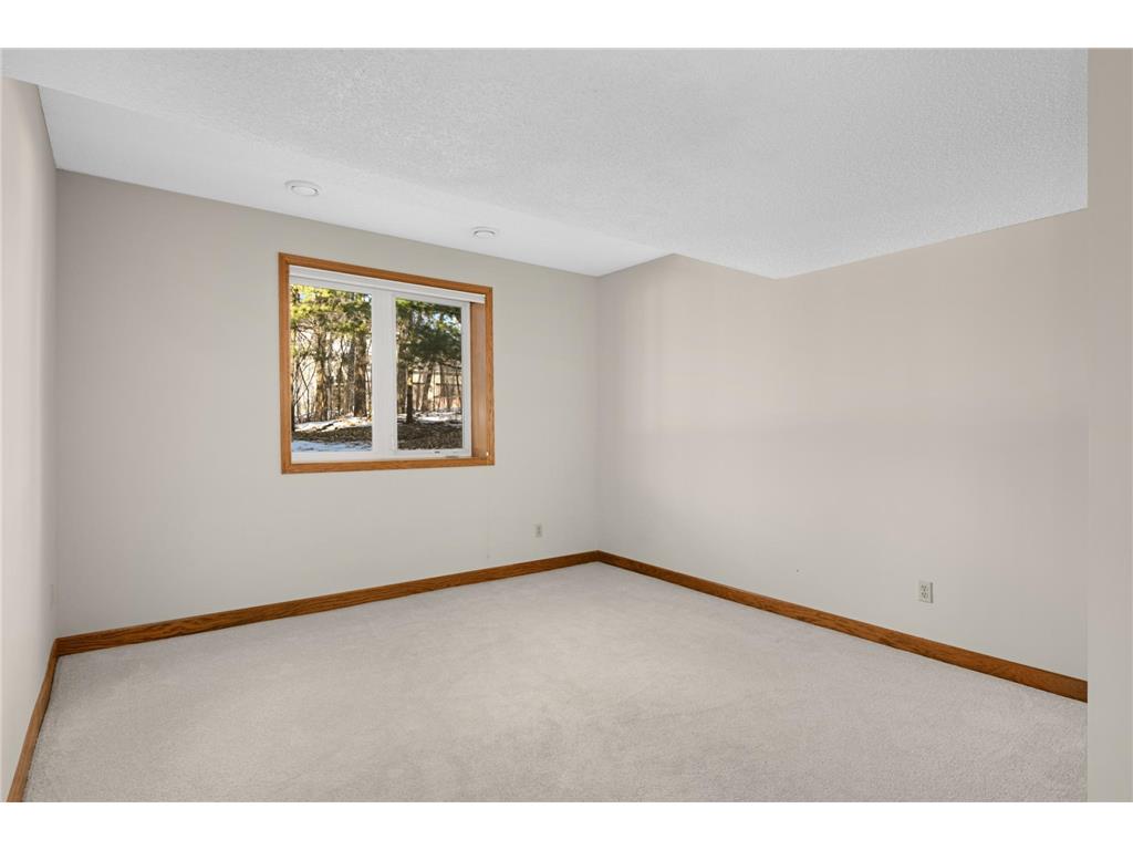 12297 Coffee Trail Rosemount MN 55068 7002445 image29