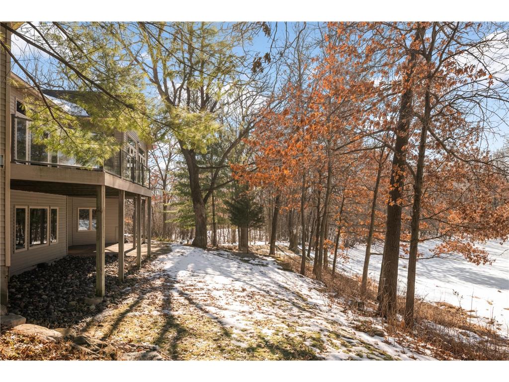 12297 Coffee Trail Rosemount MN 55068 7002445 image31