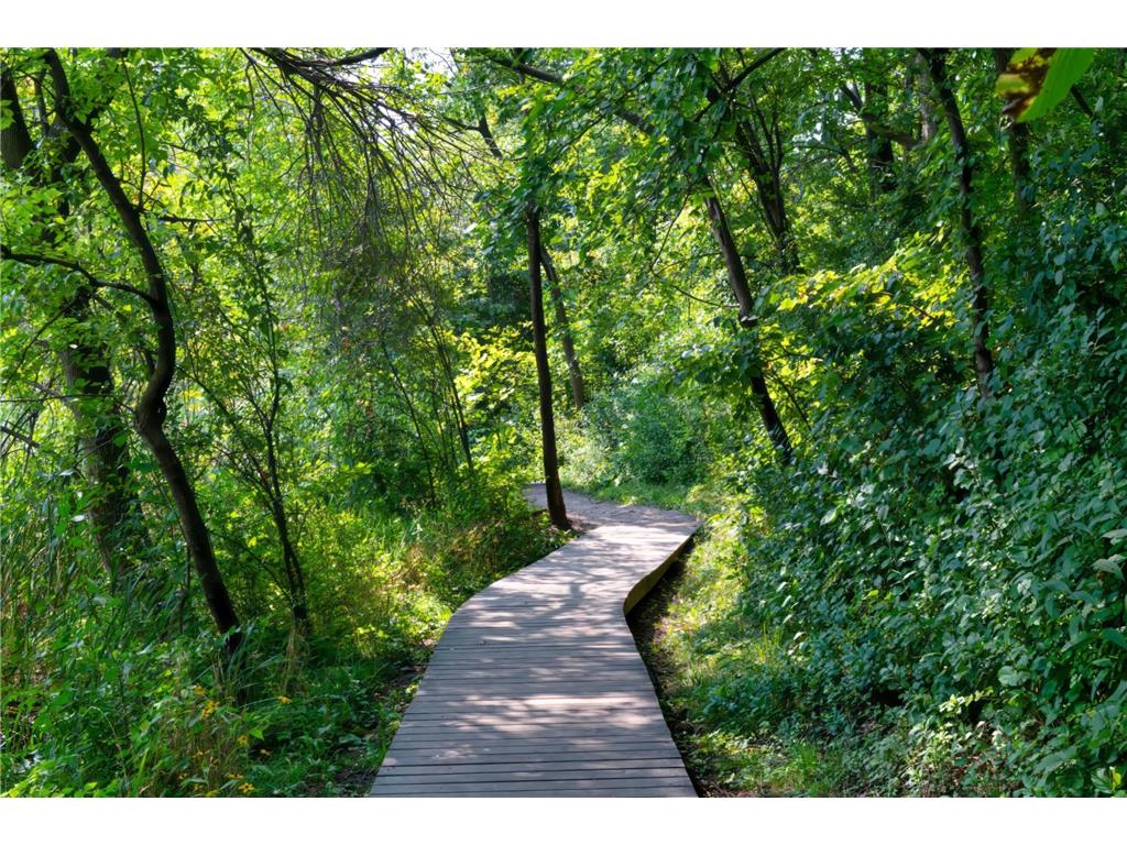 12297 Coffee Trail Rosemount MN 55068 7002445 image36