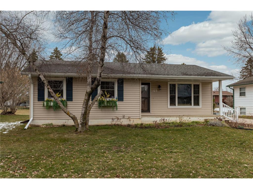 123 Carolann Street NW, Eyota, MN, 55934 MLS 6513615 Edina Realty