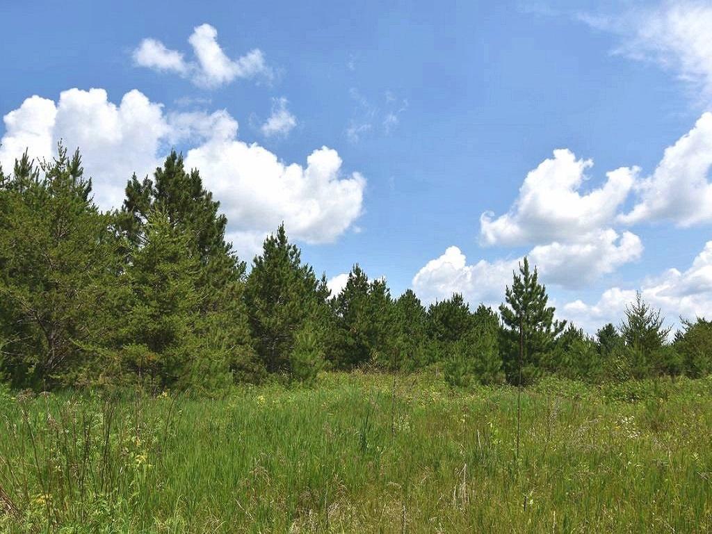 123 Gateway Drive Akeley MN 56433 - Tenth Crow Wing 6396281 image1