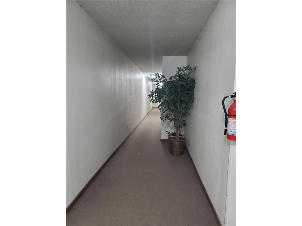 123 S Otter Avenue Parkers Prairie MN 56361 6257640 image9