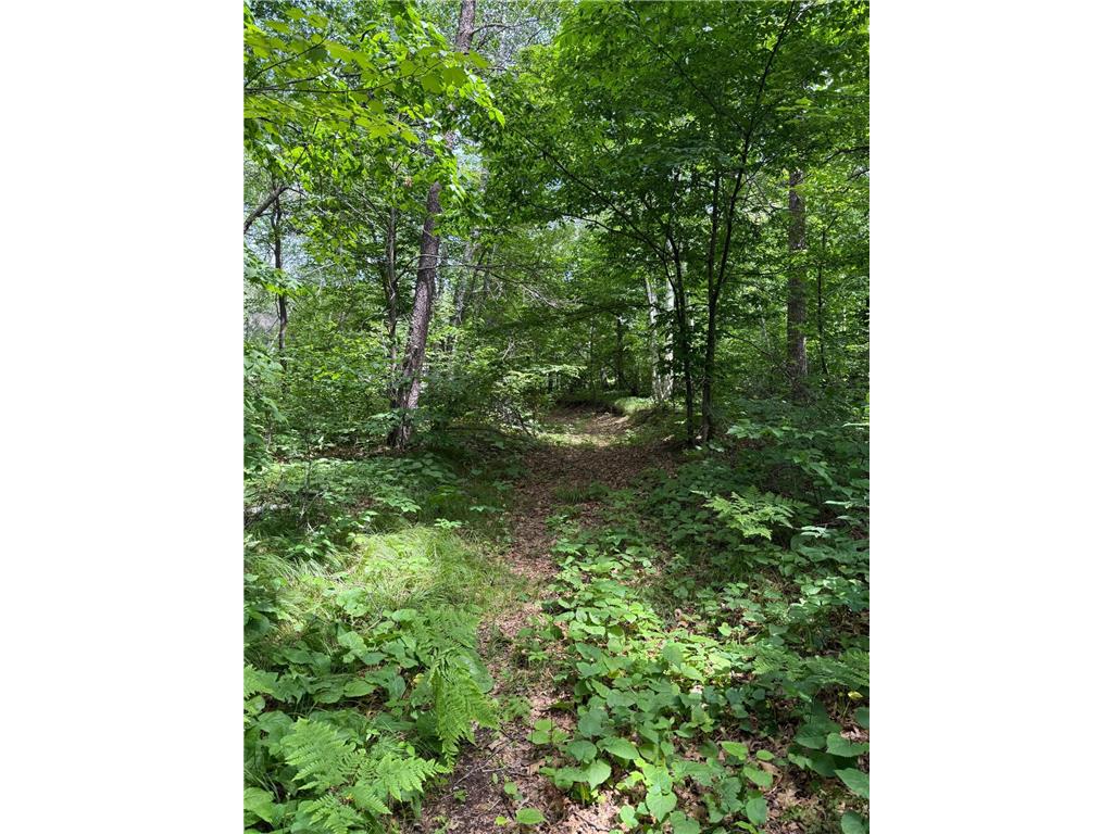 12301 Alliance Way SW Sylvan Twp MN 56401 - Gull River 6742231 image1