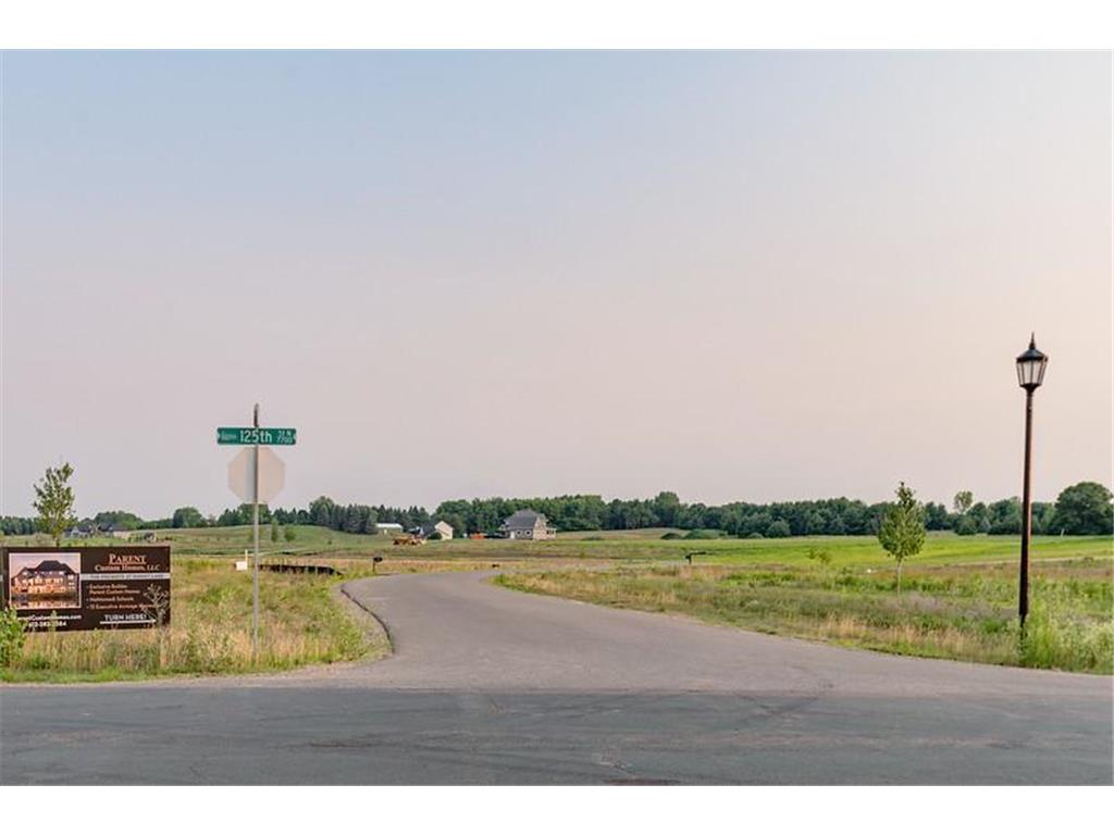 12312 Hilo Court N Hugo MN 55038 6314565 image1