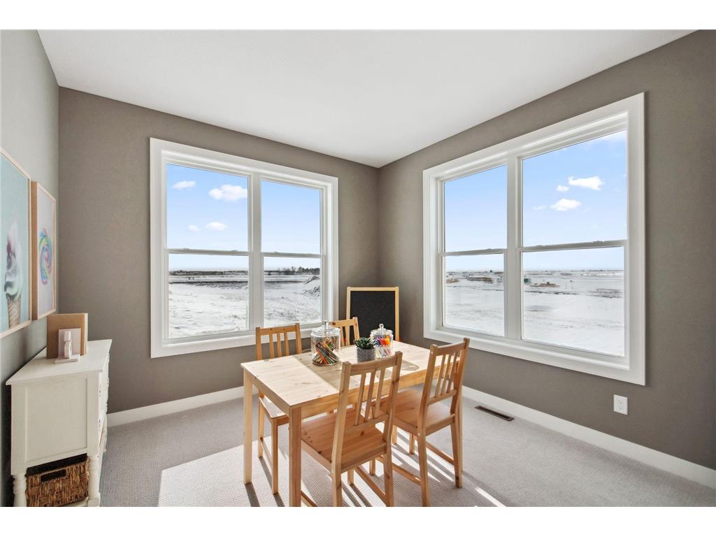 1232 Ardara Ridge Road Rosemount MN 55068 7069215 image11
