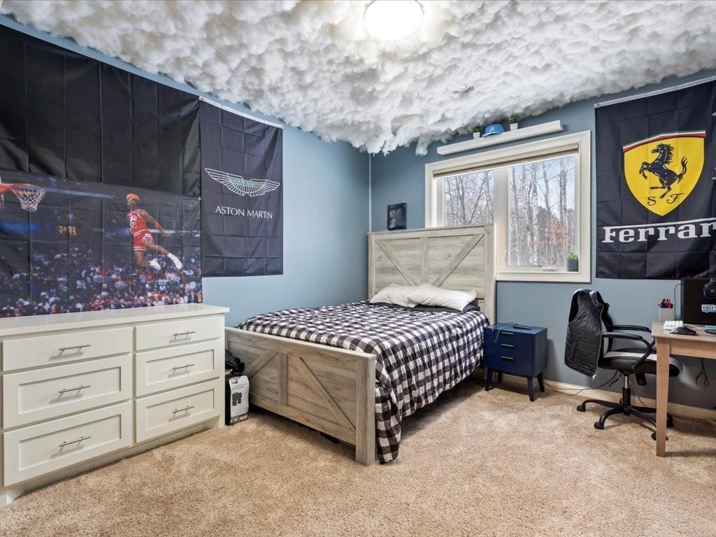 12324 Sorenson Lake Road Merrifield MN 56465 - Campbell Lake 6813609 image39