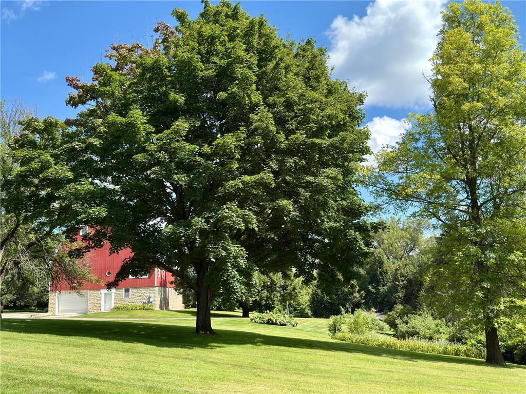 12326 Falk Trail Northfield MN 55057 6775690 image115